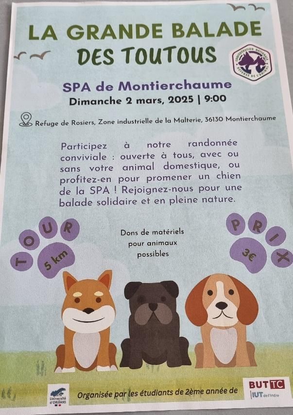 balade de chien